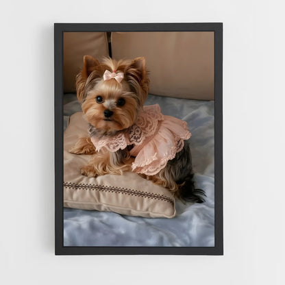 ap-yorkshire terrier-5 cadre Noir