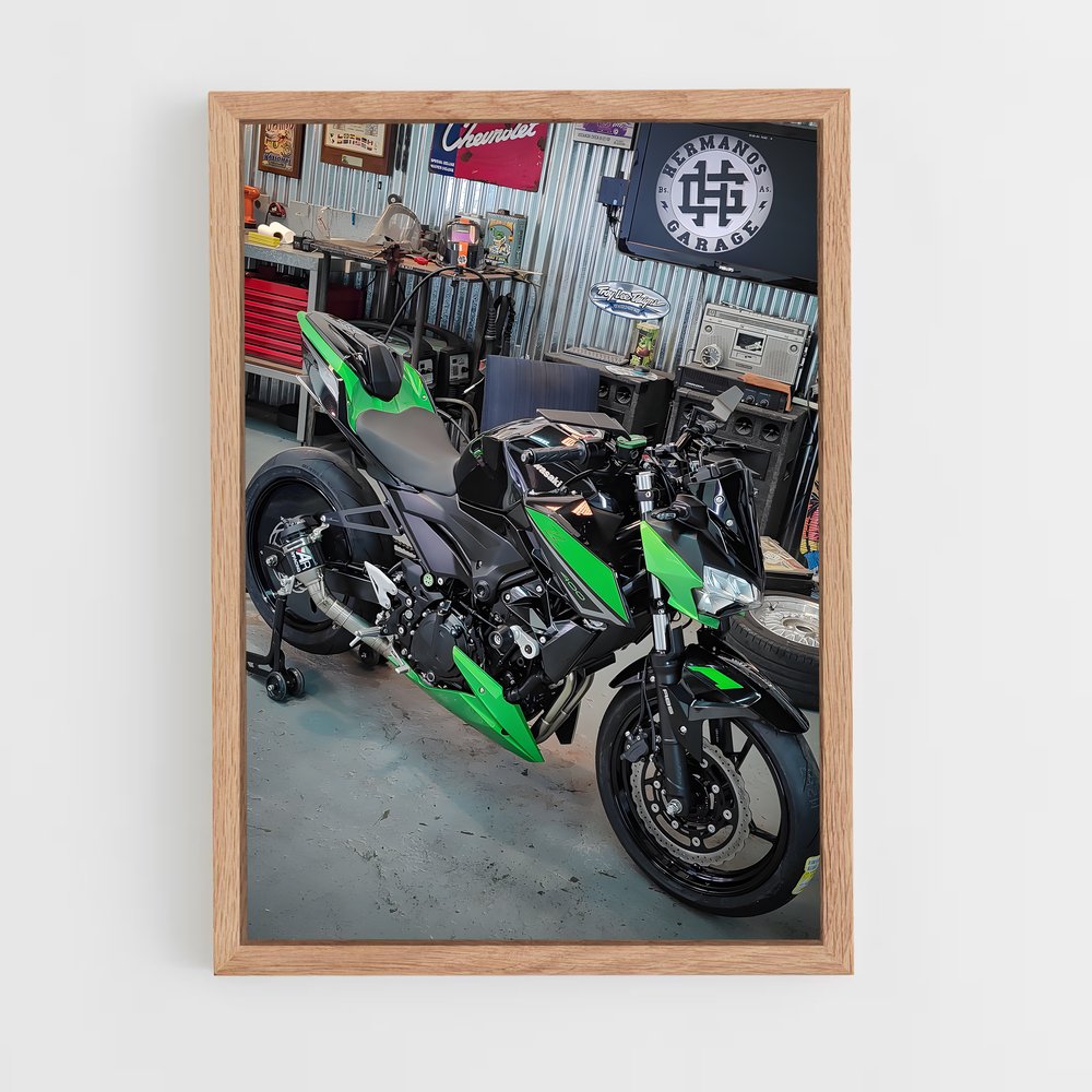 ap-z400-1 cadre Bois clair