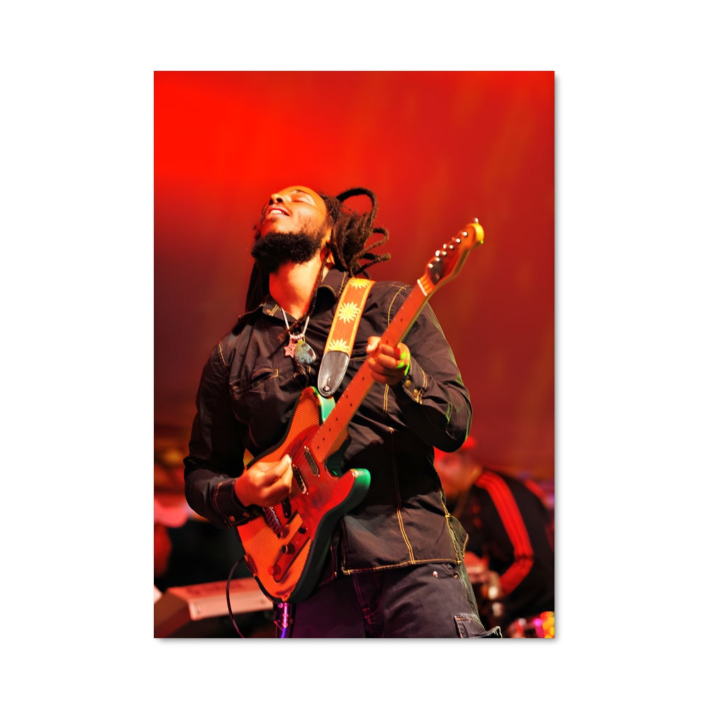 Poster Live in Harmony