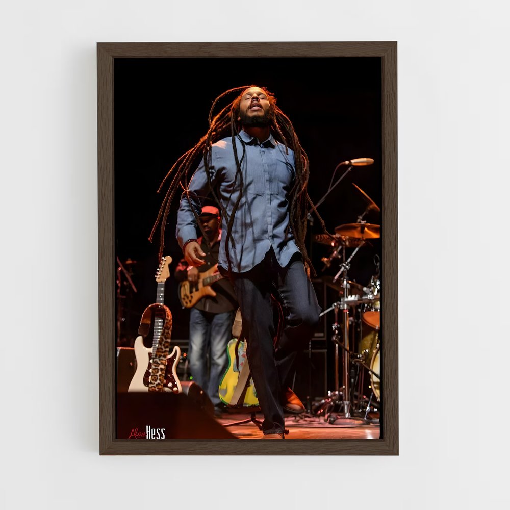 ap-ziggy marley-5 cadre Bois foncé