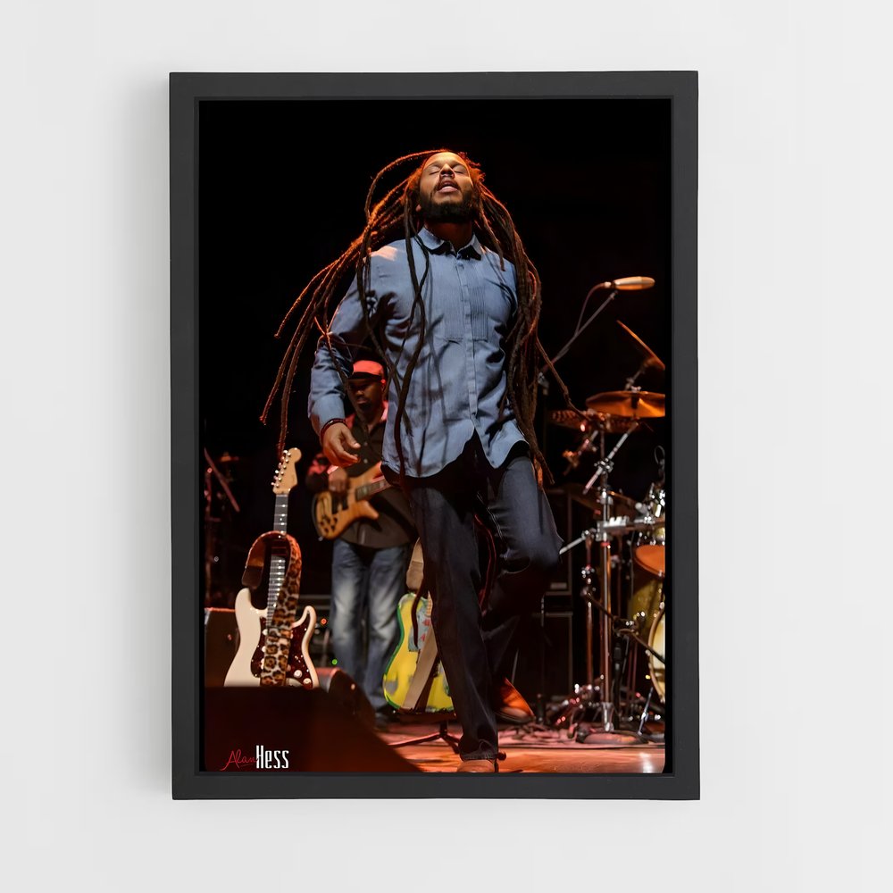 ap-ziggy marley-5 cadre Noir