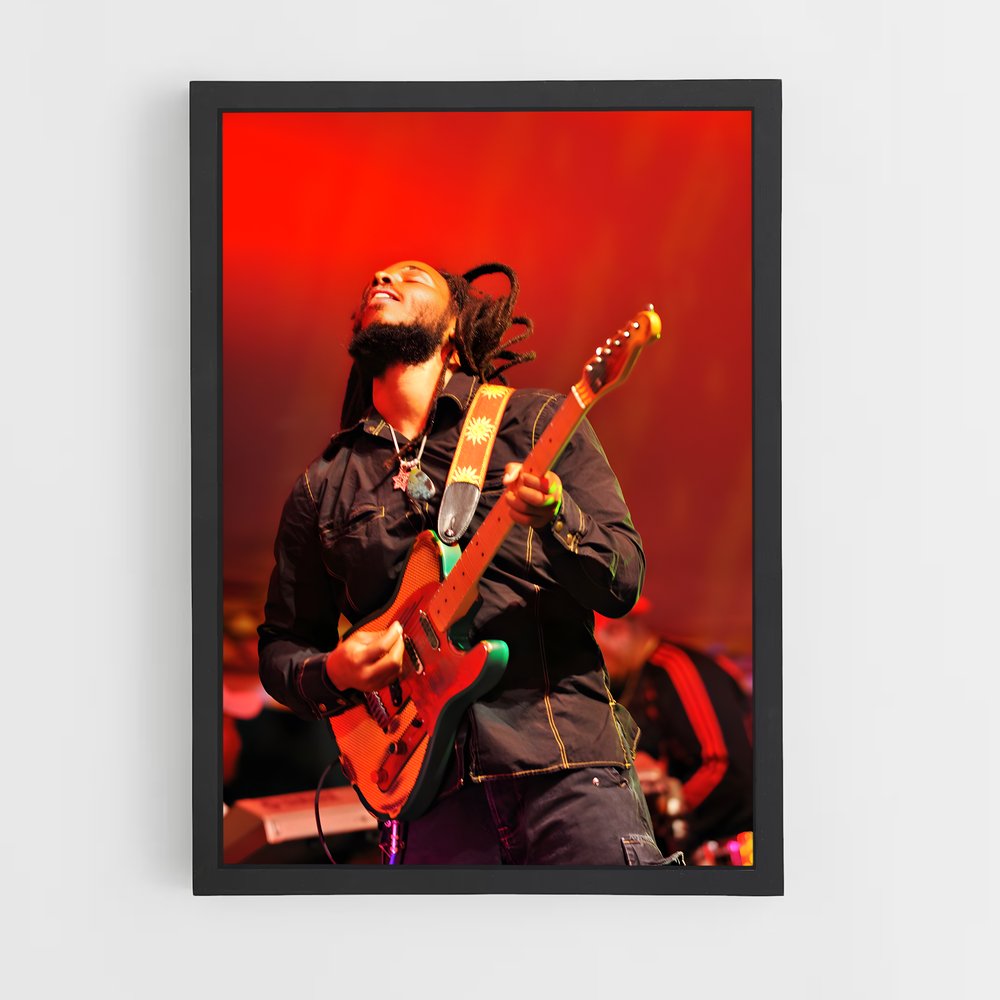 ap-ziggy marley-8 cadre Noir