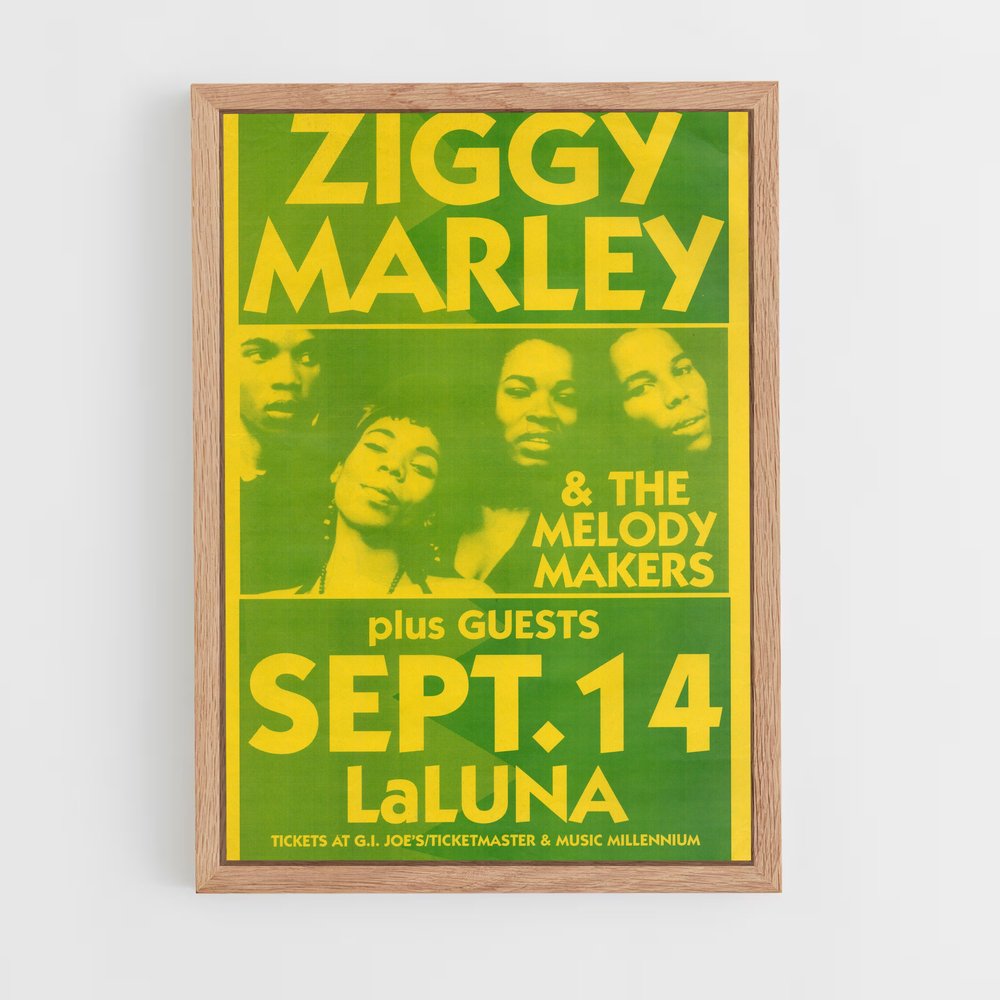 ap-ziggy marley-9 cadre Bois clair