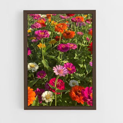 ap-zinnia-4 cadre Bois foncé