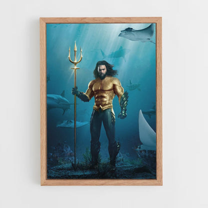 Pôster da fantasia de Aquaman