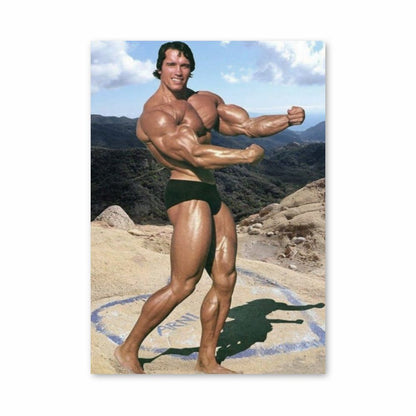 Pôster Arnold Schwarzenegger