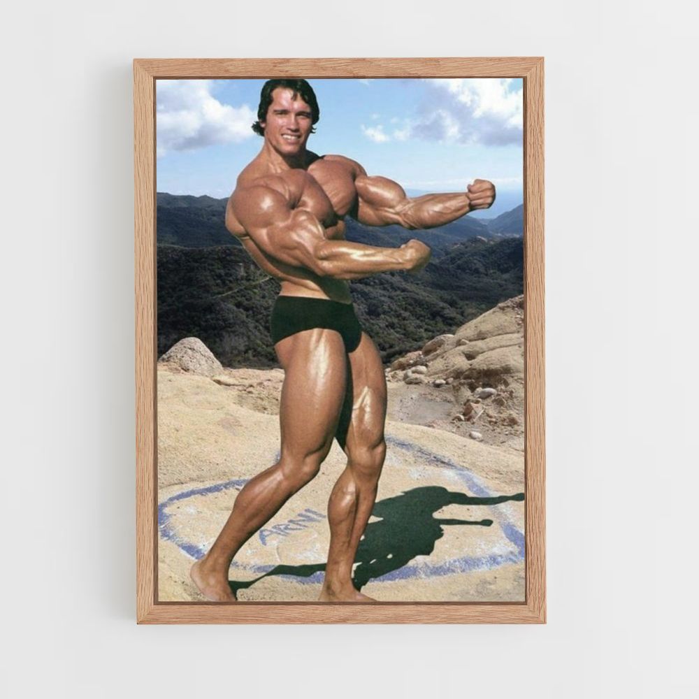 Pôster Arnold Schwarzenegger