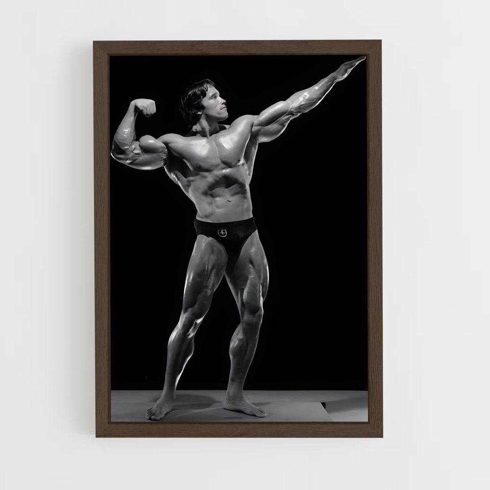 arnold-6 cadre Bois foncé