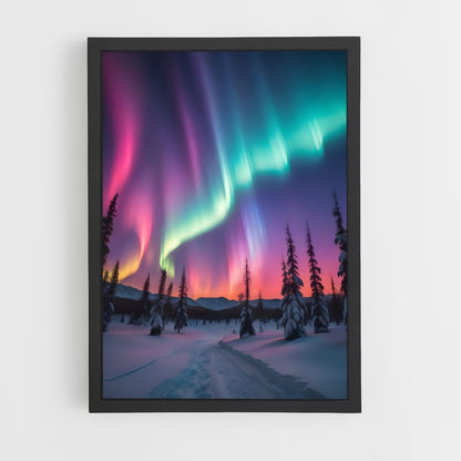 aurora-7 cadre Noir