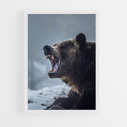 bear-2 cadre Blanc