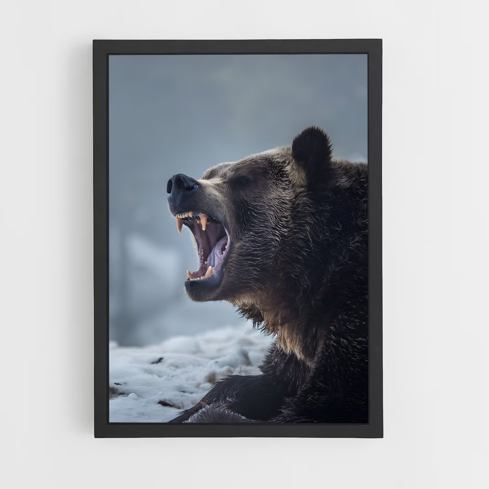 bear-2 cadre Noir