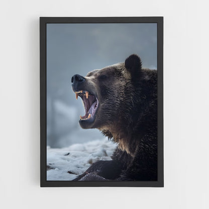 bear-2 cadre Noir