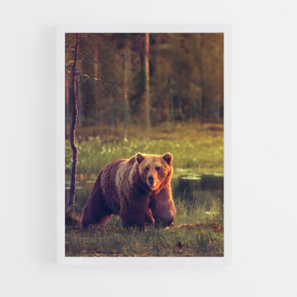 bear-3 cadre Blanc