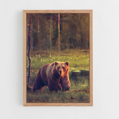 bear-3 cadre Bois clair