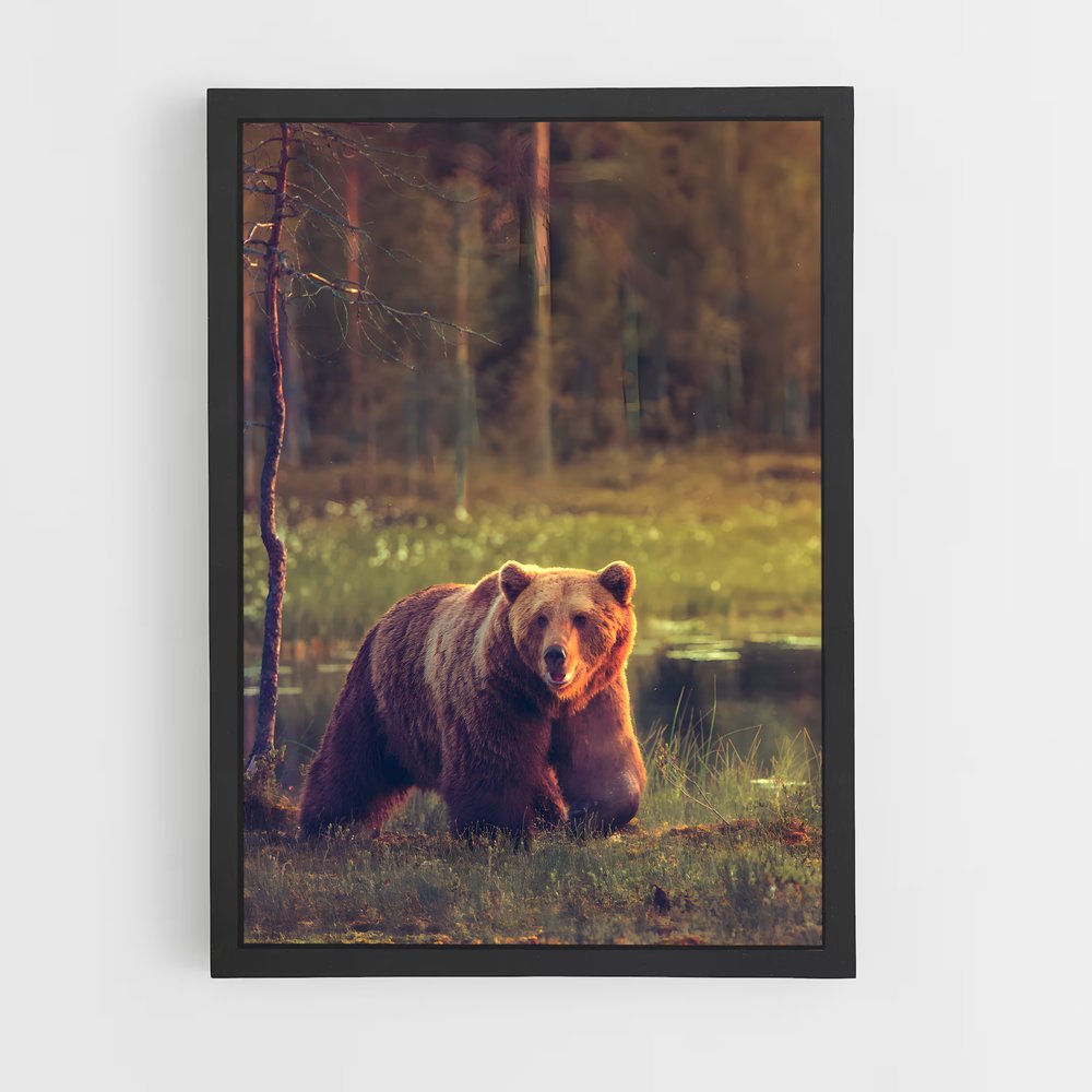 bear-3 cadre Noir
