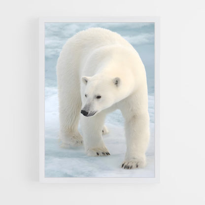 bear-4 cadre Blanc