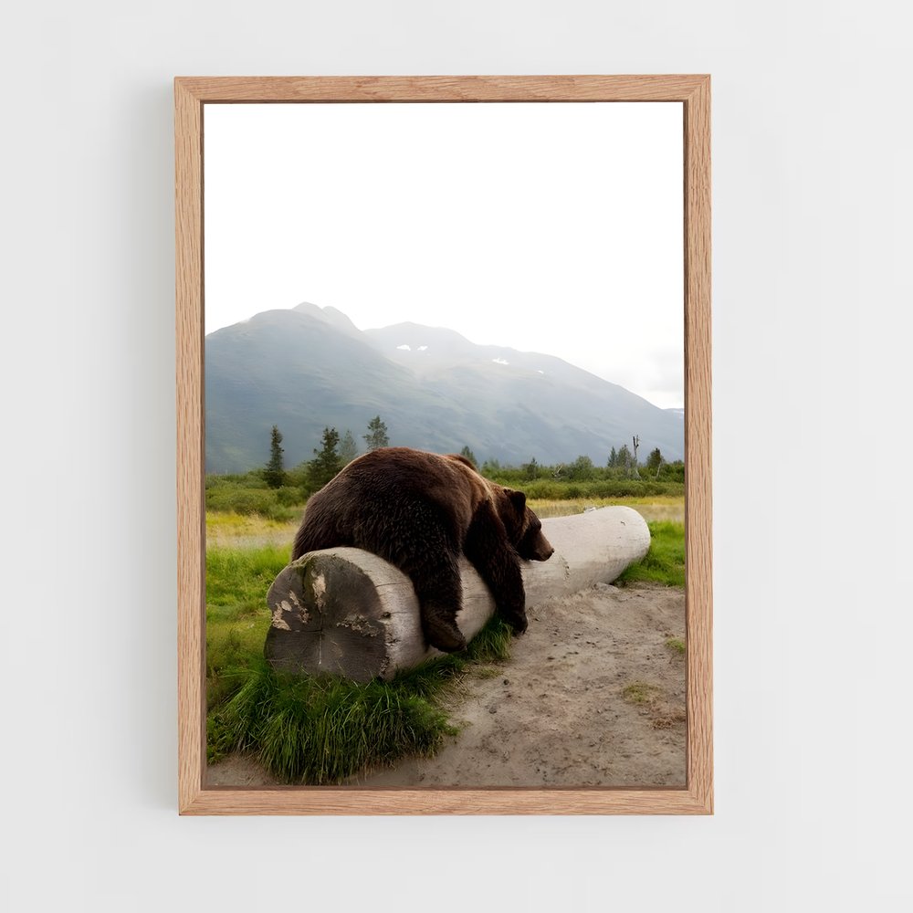 bear-6 cadre Bois clair