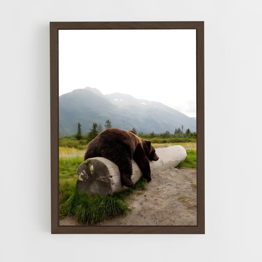 bear-6 cadre Bois foncé