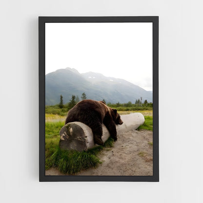 bear-6 cadre Noir