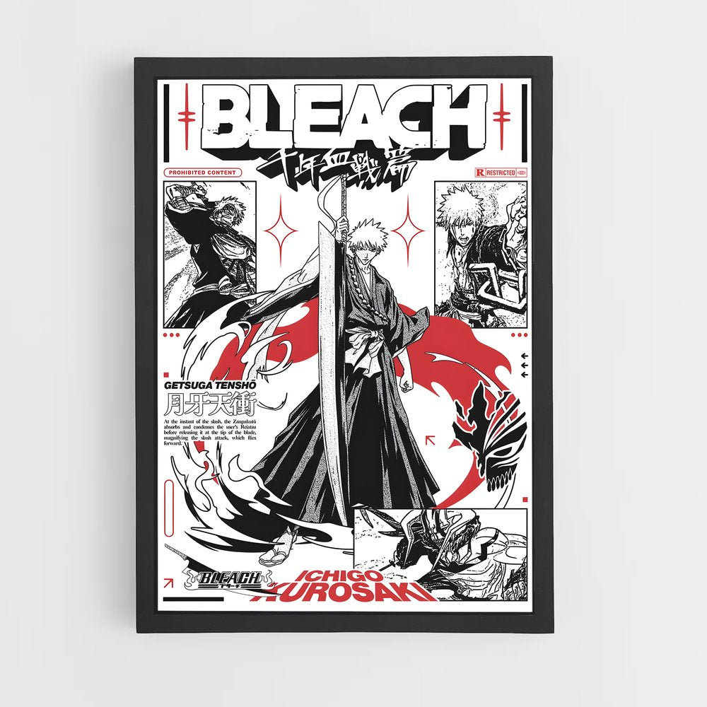 bleach-6 cadre Noir