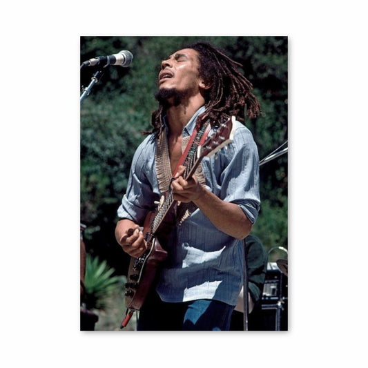 Pôster Bob Marley canta