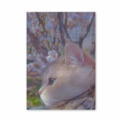 Póster Gato Sakura