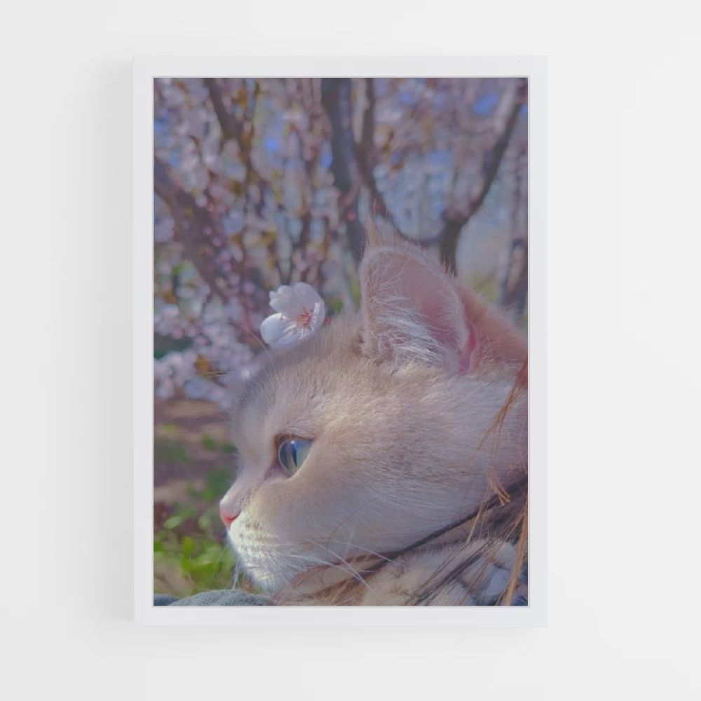 Póster Gato Sakura