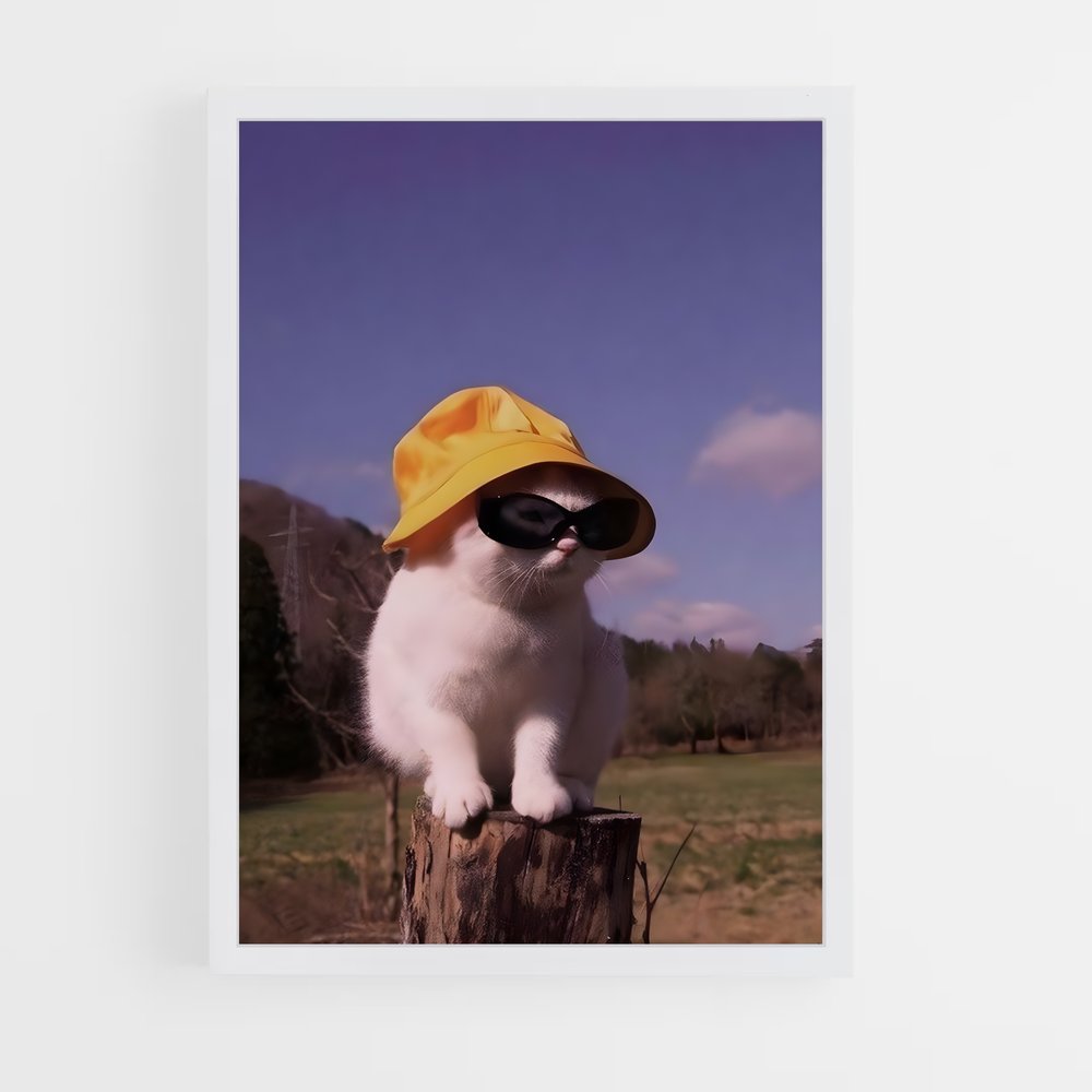 cat-8 cadre Blanc