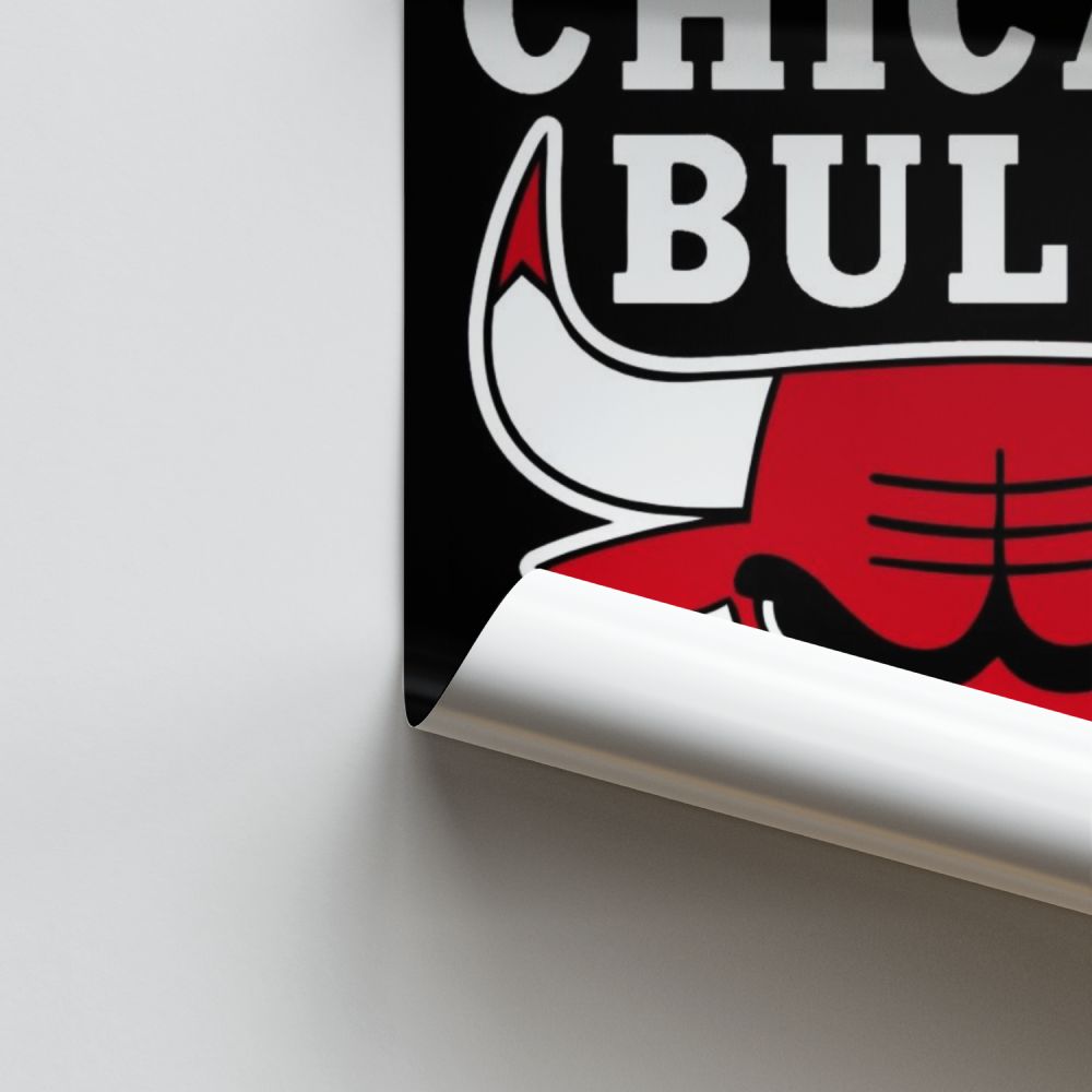 Pôster do logotipo do Chicago Bulls