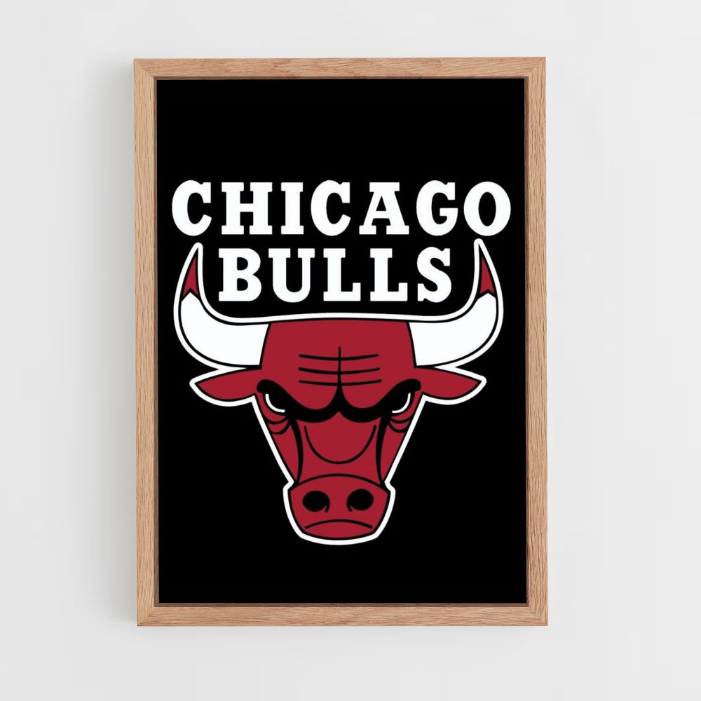 Pôster do logotipo do Chicago Bulls