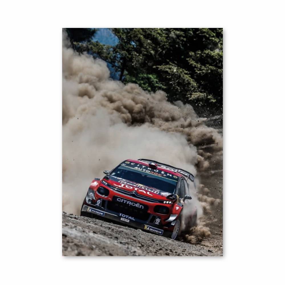 Poster Citroen Rally