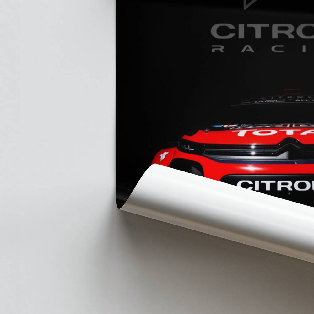 Pôster Citroën Racing