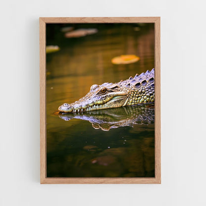 crocodile-2 cadre Bois clair