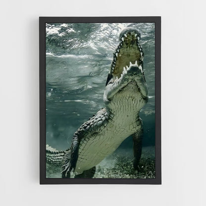 crocodile-4 cadre Noir
