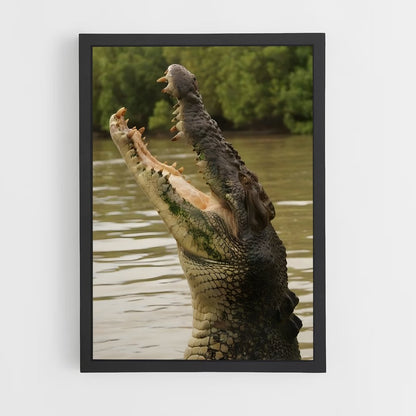 crocodile-6 cadre Noir