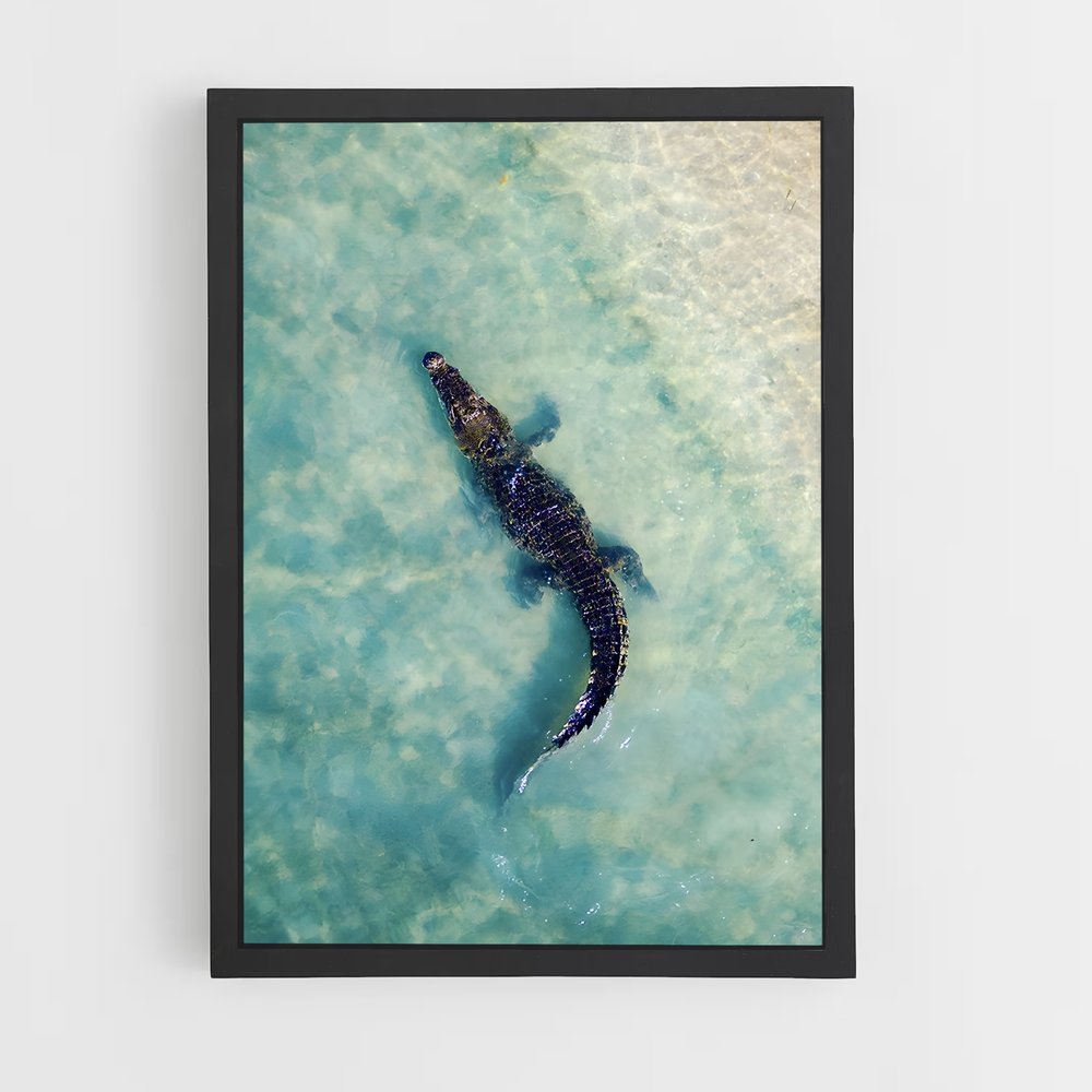 crocodile-7 cadre Noir