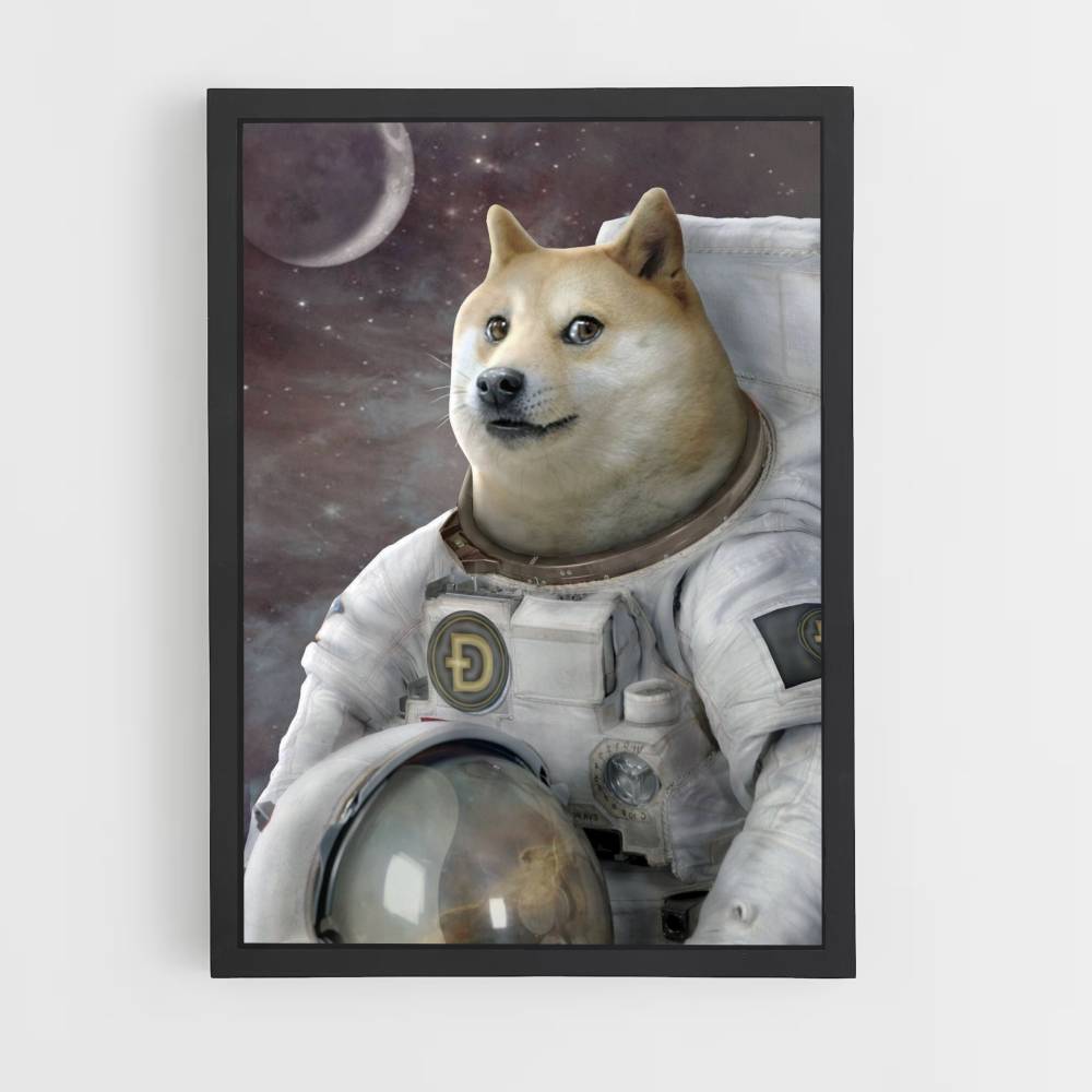 Poster Doge no espaço