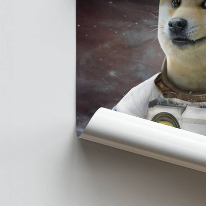 Poster Doge no espaço