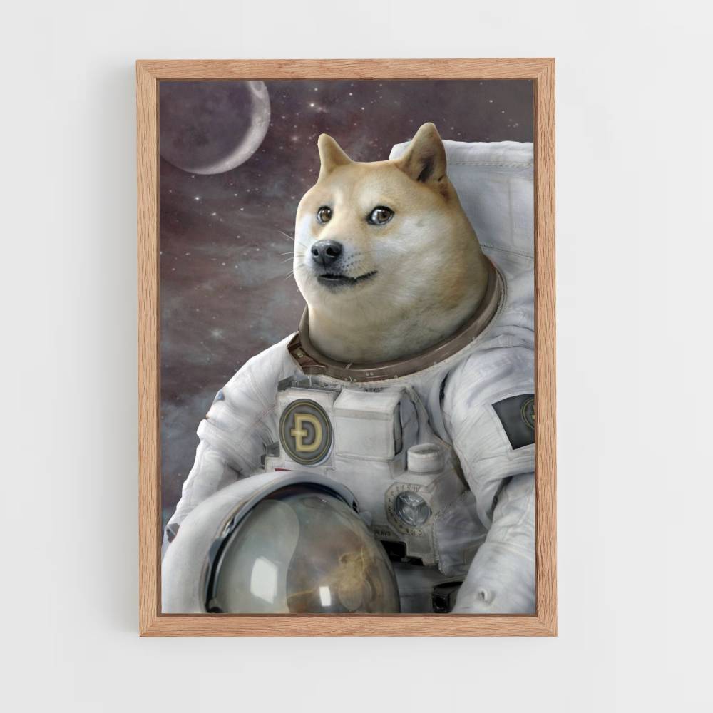 Poster Doge no espaço