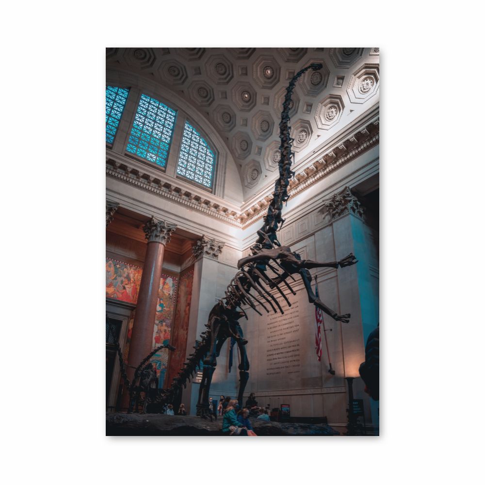 Póster Esqueleto do Diplodocus