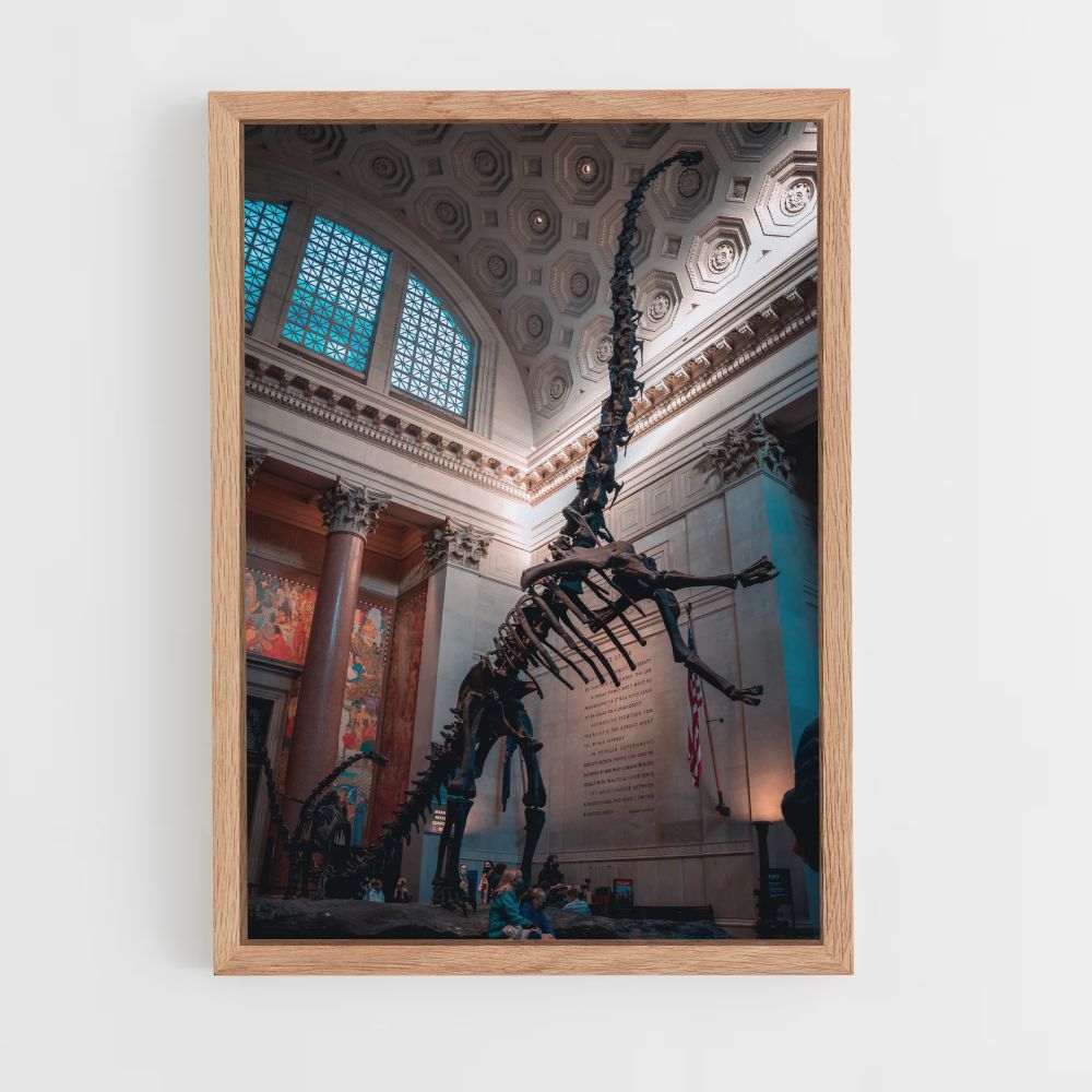 Póster Esqueleto do Diplodocus