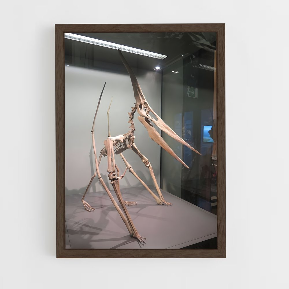 dinosaur-7 cadre Bois foncé