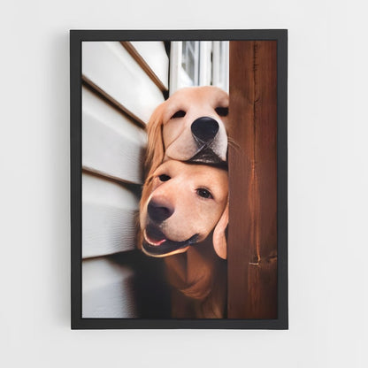 dog-1 cadre Noir