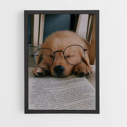 dog-2 cadre Noir