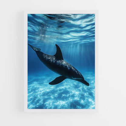 dolphin-4 cadre Blanc