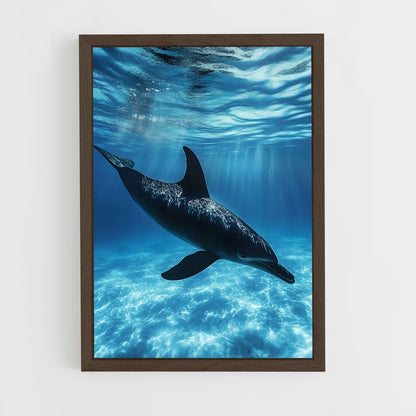 dolphin-4 cadre Bois foncé