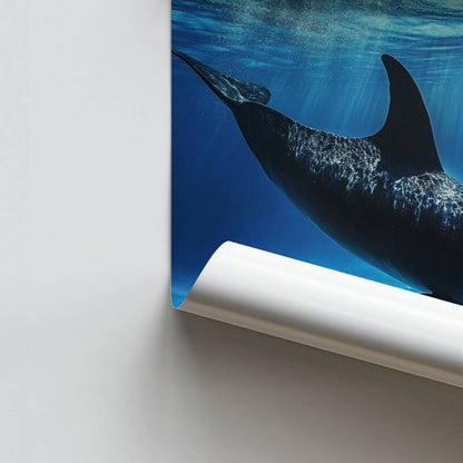 Póster Dolphin subaquático