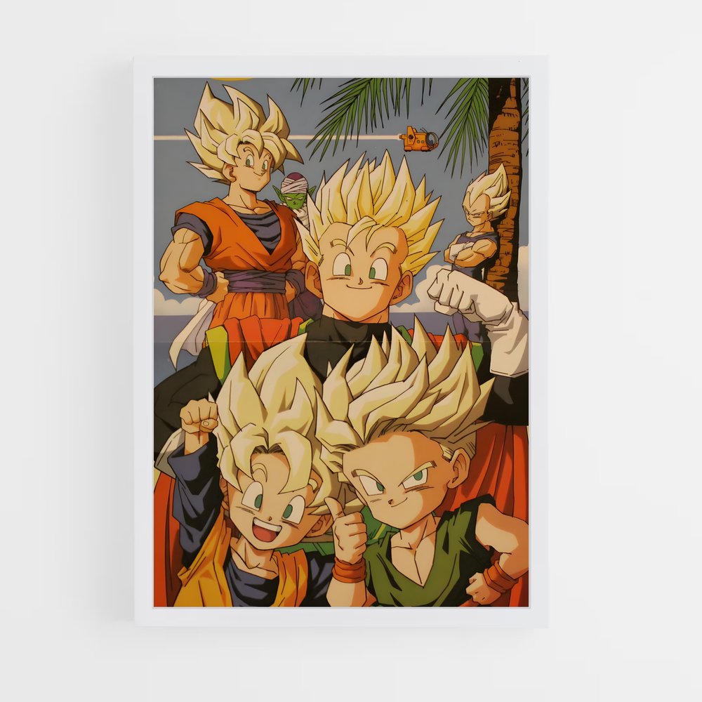dragon-ball-11 cadre Blanc