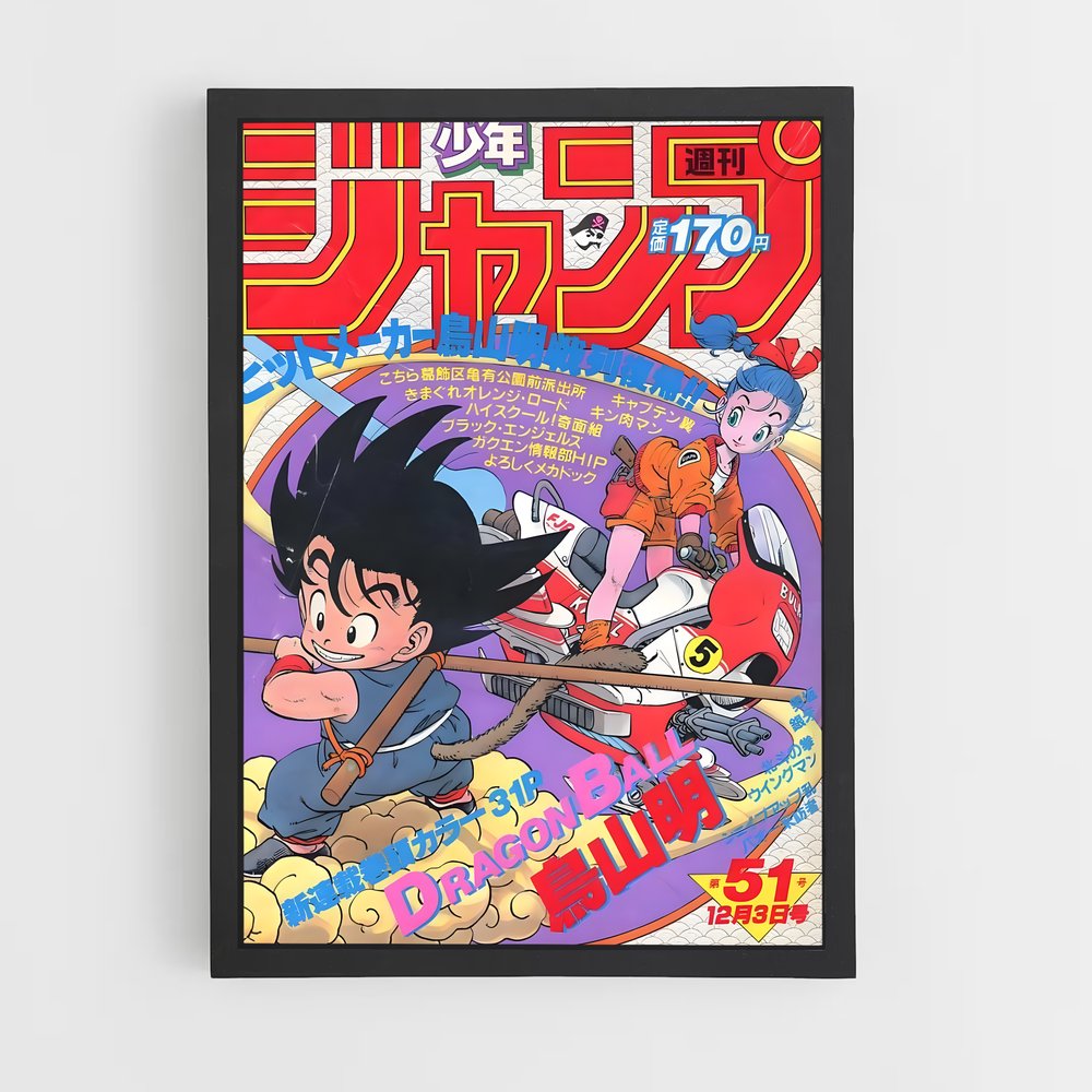 dragon-ball-12 cadre Noir