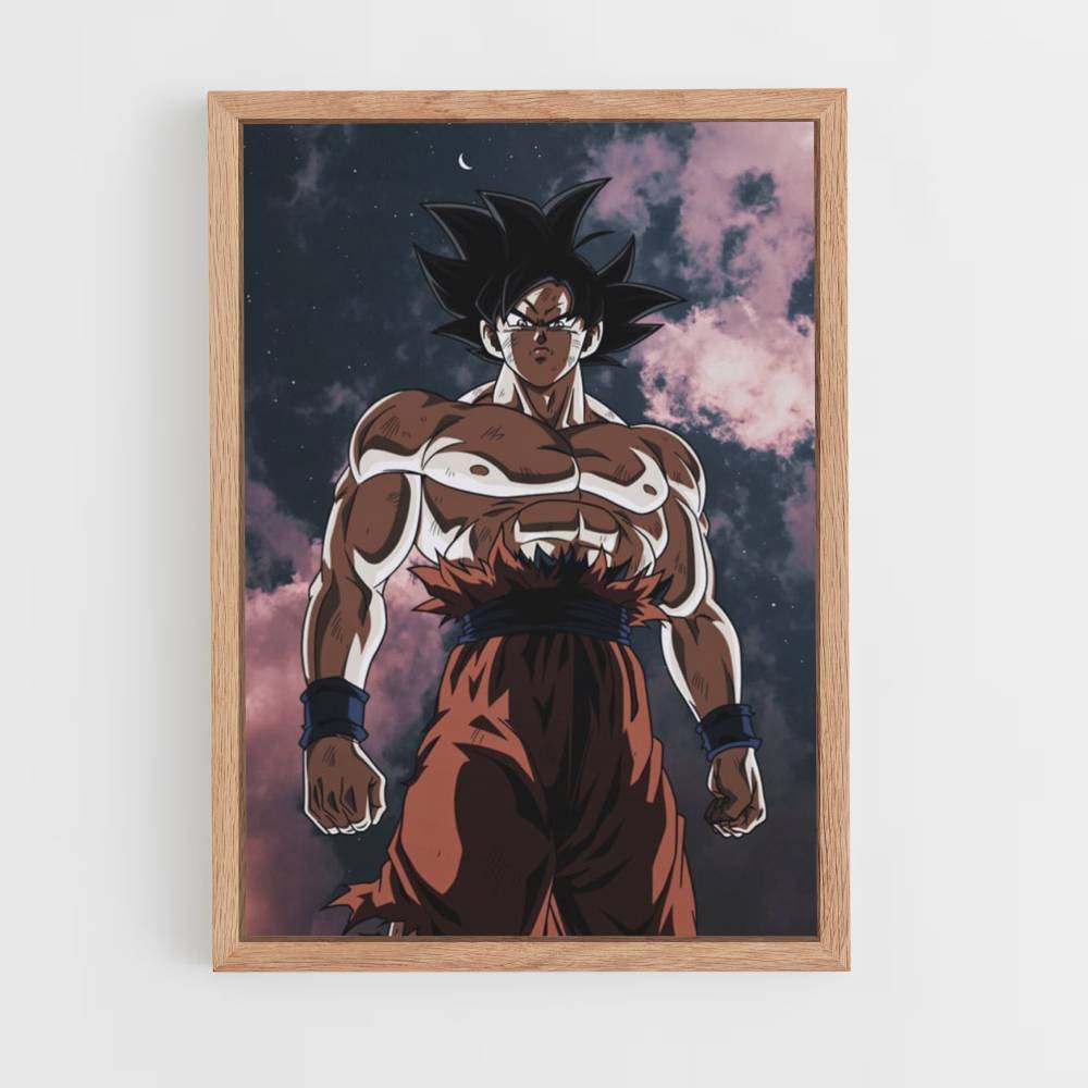 Pôster San Goku Estético